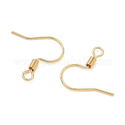 SHEGRACE Brass Earring Hooks&nbsp;XGR0140G-153G