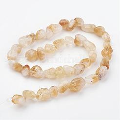 Natural Citrine Bead Strands&nbsp;G-G950-S-07