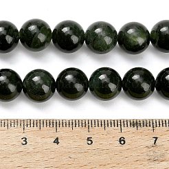 Natural Canadian Jade Beads Strands&nbsp;G-H335-B07-10mm