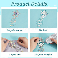 Glass Rhinestone Tassel Cabochons&nbsp;FIND-WH20008-30B