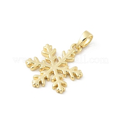Brass Pendants&nbsp;KK-E791-08G