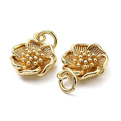 Rack Plating Brass Charms&nbsp;KK-D026-22G