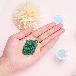 12 Colors Glass Seed Beads&nbsp;SEED-PH0007-03