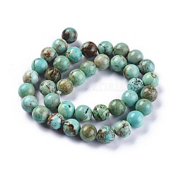 Natural Howlite Beads Strands&nbsp;X-TURQ-F017-02-10mm