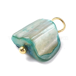 Natural Dyed Shell Charms&nbsp;PALLOY-JF01339