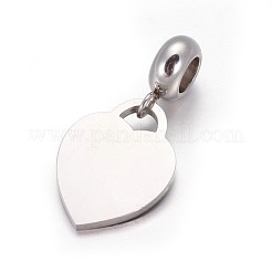 304 Stainless Steel European Dangle Charms&nbsp;OPDL-L013-49B