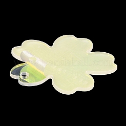 Acrylic Pendants&nbsp;X1-OACR-B009-01C