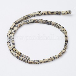 Natural Dalmatian Jasper Beads Strands&nbsp;X-G-G968-D10