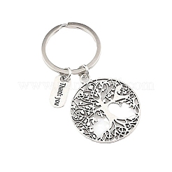Alloy Keychains&nbsp;PW-WG9C072-01