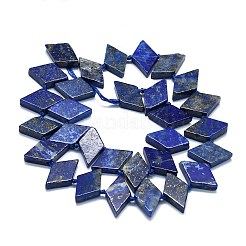 Natural Lapis Lazuli Beads Strands&nbsp;G-K245-E05-A01