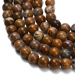 Natural Wealth Stone Beads Strands&nbsp;G-C289-B01-8mm