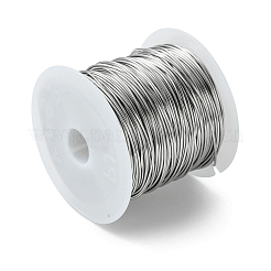Non-Tarnish 316 Surgical Stainless Steel Wire&nbsp;TWIR-L004-01D-P