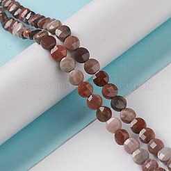 Natural Petrified Wood Beads Strands&nbsp;G-K332-B02
