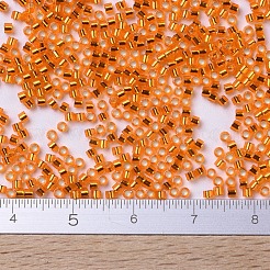 MIYUKI Delica Beads&nbsp;SEED-JP0008-DB0045
