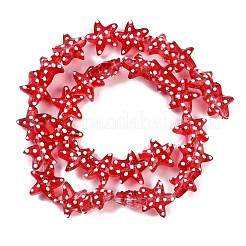 Handmade Lampwork Beads Strands&nbsp;LAMP-I027-09F