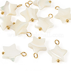 10Pcs Natural Shell Star Pendants&nbsp;SHEL-TA0001-36