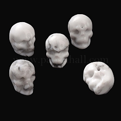 Natural Howlite Beads&nbsp;G-C038-01J