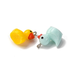 Opaque Resin Pendants&nbsp;RESI-A046-03