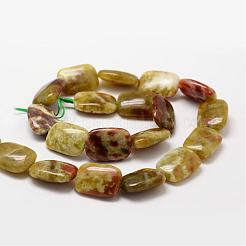 Rectangle Natural Dragon Blood Jasper Beads Strands&nbsp;G-K072-02D
