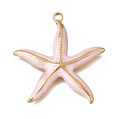 304 Stainless Steel Pendants&nbsp;STAS-N108-97G