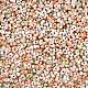 Two Tone Baking Paint Glass Seed Beads&nbsp;SEED-C003-01Q-2