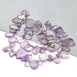 Natural Amethyst Beads Strands&nbsp;G-M408-E01