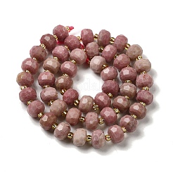 Natural Rhodonite Beads Strands&nbsp;G-P508-A19-01