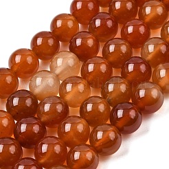 Natural Carnelian Beads Strands&nbsp;G-N0006-12mm-17