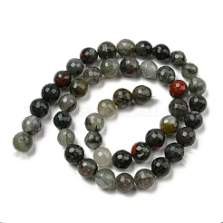 Natural Afican Bloodstone Beads Strands&nbsp;G-C079-B02-01