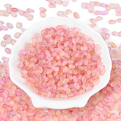 Frosted Glass Seed Beads&nbsp;SEED-N008-05B