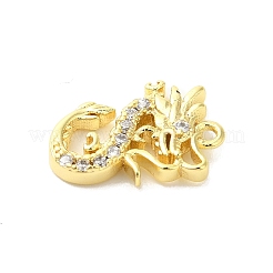 Brass Micro Pave Cubic Zirconia Charms&nbsp;KK-P278-04G