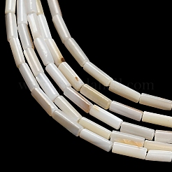 Natural Freshwater Shell Beads Strands&nbsp;SHEL-C010-02A