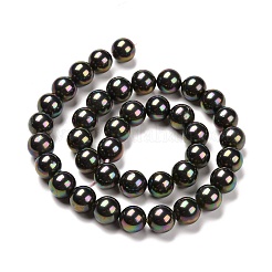 Shell Pearl Bead Strands&nbsp;BSHE-L025-05-10mm