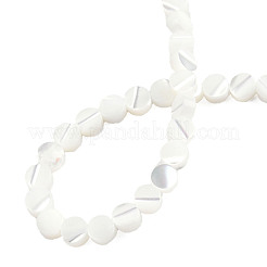 Natural Trochus Shell Beads Strands&nbsp;SSHEL-N034-165