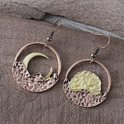 Zinc Alloy Dangle Earrings&nbsp;FS-WG79C84-01