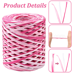 Segment Dyed Raffia Paper Cords for DIY Craft&nbsp;OCOR-WH20020-27A