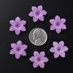 Transparent Acrylic Beads&nbsp;MACR-S373-117-D04