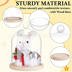 Glass Dome Cover&nbsp;DIY-WH0504-317B