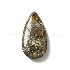 Natural Leopard Skin Jasper Pendants&nbsp;G-F731-04G