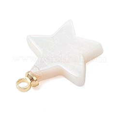 3Pcs 3 Sizes Natural Freshwater Shell Pendants&nbsp;PALLOY-JF05097