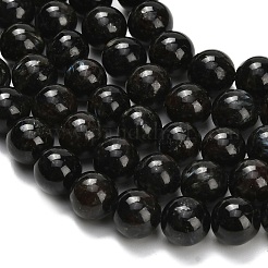 Natural Glaucophane Beads Strands&nbsp;G-L642-B03-8mm