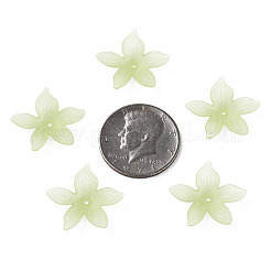 Transparent Acrylic Beads&nbsp;MACR-S373-127-D06