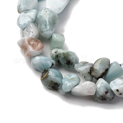 Natural Larimar Beads Strands&nbsp;G-I389-A18