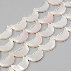 Electroplate Natural Freshwater Shell Beads Strands&nbsp;SHEL-T017-16