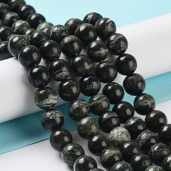Natural Silver Line Jasper Beads Strands&nbsp;G-Z042-A01-02