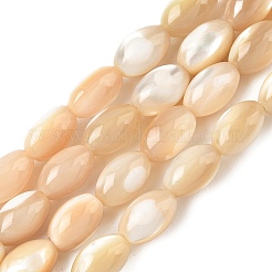 Natural Sea Shell Oval Bead Strands&nbsp;SSHEL-M016-01B