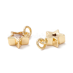 Brass Cubic Zirconia Charms&nbsp;FIND-Z005-02B