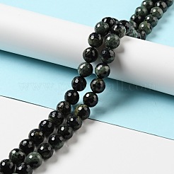 Natural Kambaba Jasper Beads Strands&nbsp;G-E571-41