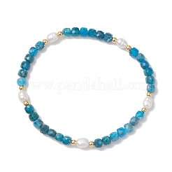 Natural Apatite & Cultured Freshwater Pearl Beads Stretch Bracelets for Women&nbsp;BJEW-JB12734-02