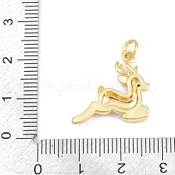 Brass Micro Pave Cubic Zirconia Pendants&nbsp;KK-F938-41G-02A